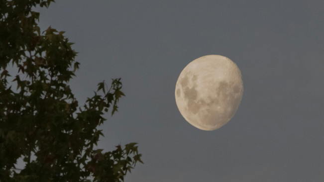 Fenomena Supermoon Hiasi Langit Malam 7 Oktober 2025, Apa Dampaknya?
